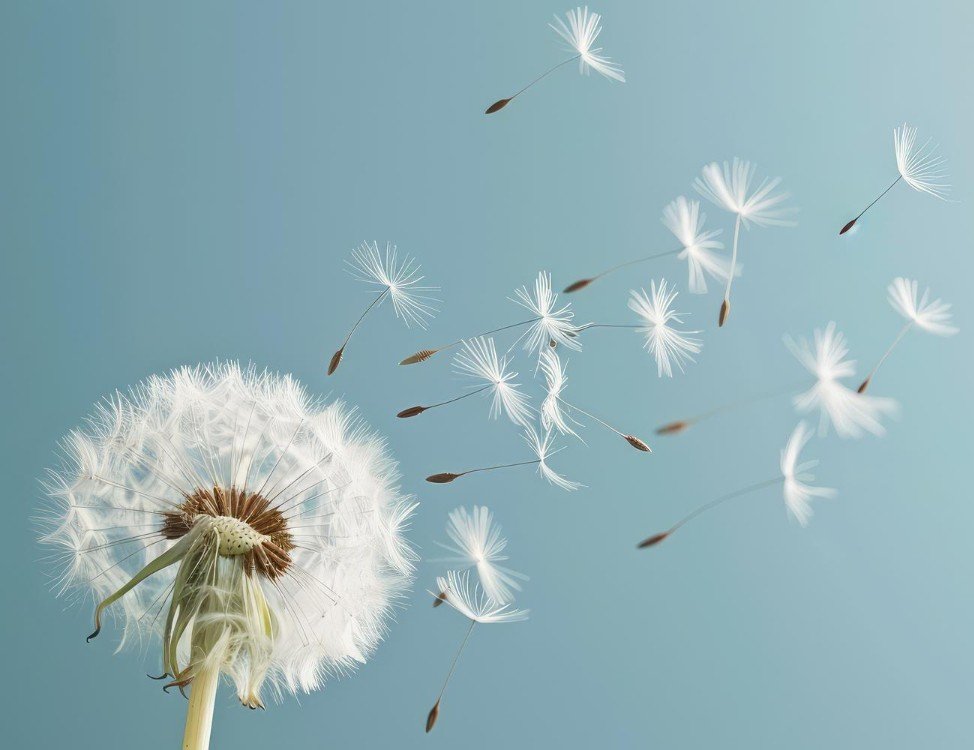 Dandelion with flying seeds space ai generation